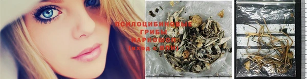 прущая мука Бородино