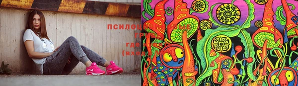 прущая мука Бородино