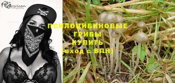 прущая мука Бородино