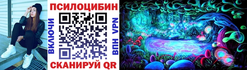 Купить  Вытегра  Псилоцибиновые грибы Cubensis 