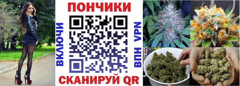Купить закладки  Вытегра  Бошки марихуана Amnesia 